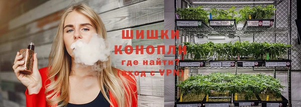 гидропоника Великий Новгород