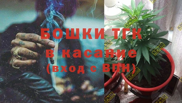 гидропоника Великий Новгород